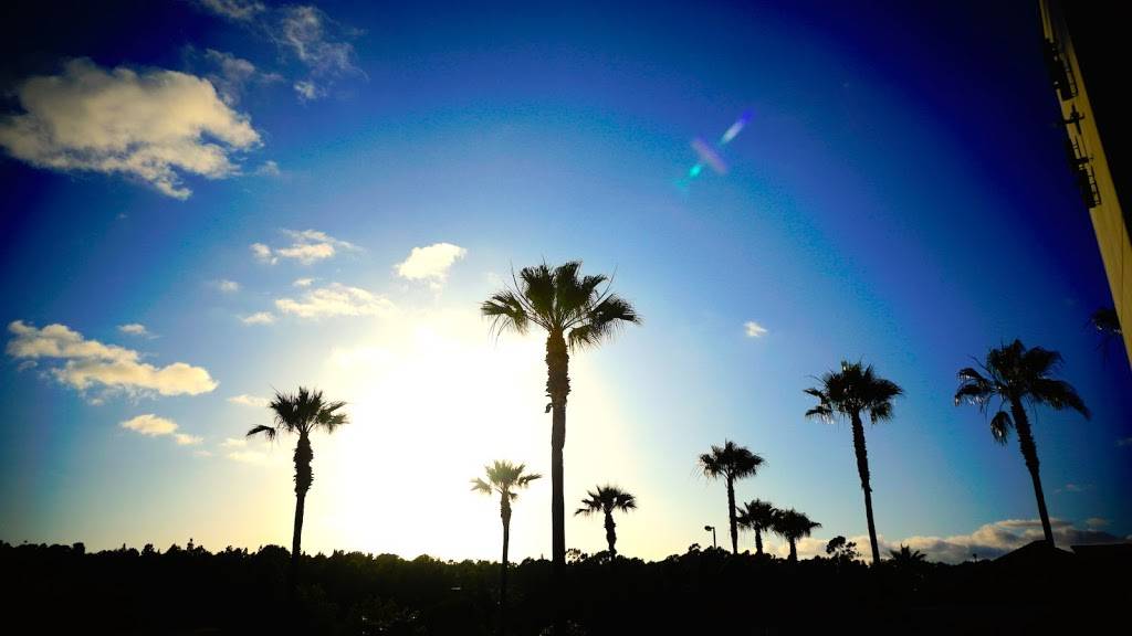 Rimels Bar and Grill | restaurant | 12955 El Camino Real G2, San Diego, CA 92130, USA | 8587550000 OR +1 858-755-0000