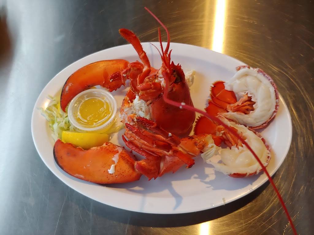 Dune Dog Cafe | restaurant | 421 US-1, Stuart, FL 34994, USA | 7722664360 OR +1 772-266-4360