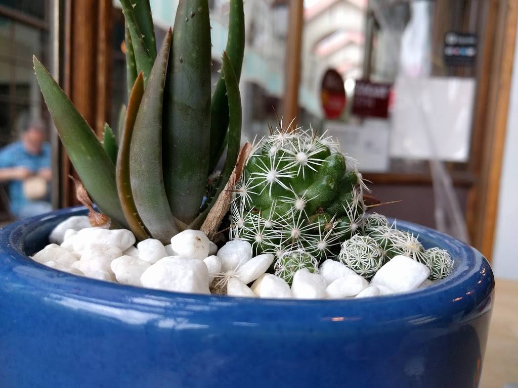 Float | cafe | 380 S Lake Ave, Pasadena, CA 91101, USA | 6268443488 OR +1 626-844-3488