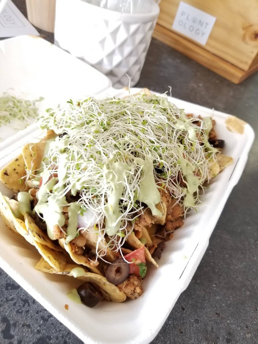 Plantology Cafe | restaurant | 1013 Atlantic Blvd, Atlantic Beach, FL 32233, USA | 9043727818 OR +1 904-372-7818