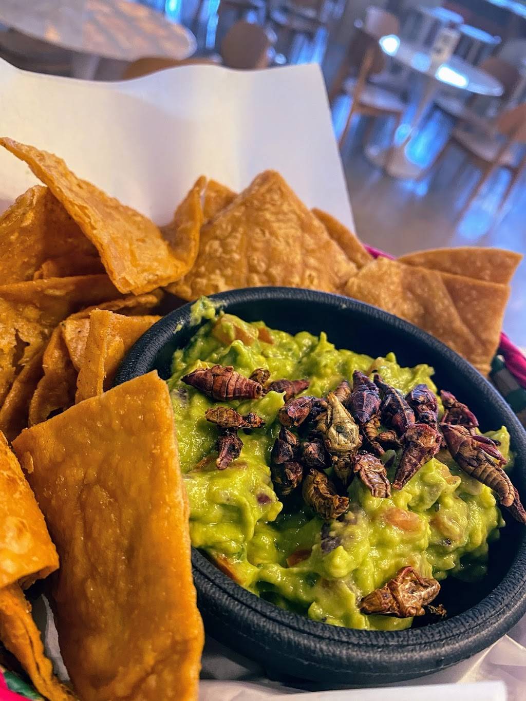 Cochinita & co. | restaurant | 2445 Times Blvd, Houston, TX 77005, USA | 7133096410 OR +1 713-309-6410