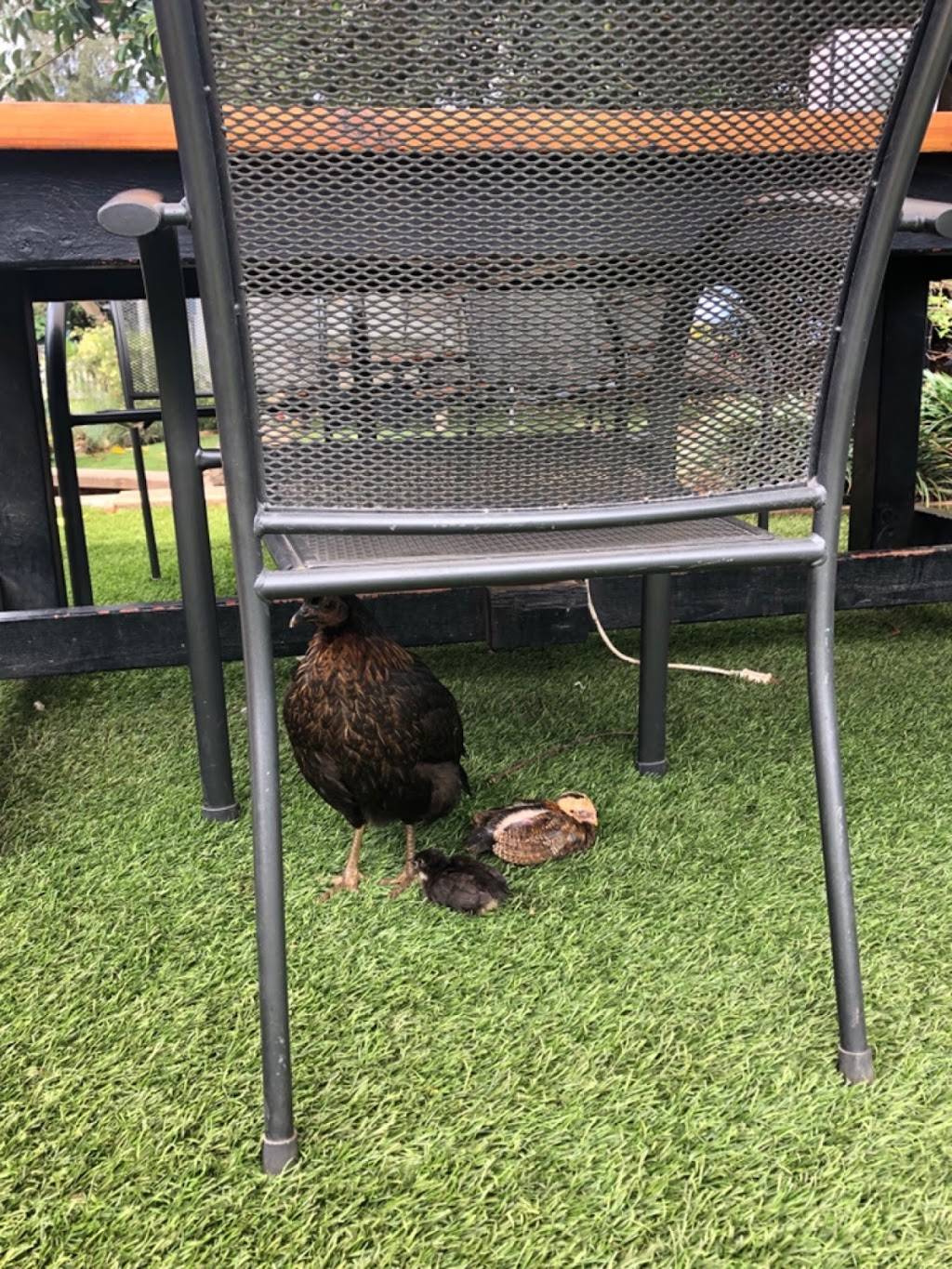 Jerrys Pizza Sharks Cove | restaurant | 57-512 Kamehameha Hwy, Haleiwa, HI 96712, USA | 8086378866 OR +1 808-637-8866