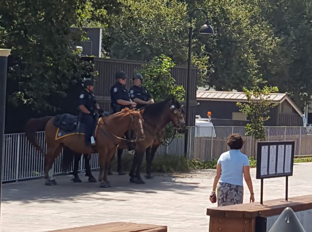 River City Saloon | night club | 916 2nd St, Sacramento, CA 95814, USA | 9164436852 OR +1 916-443-6852