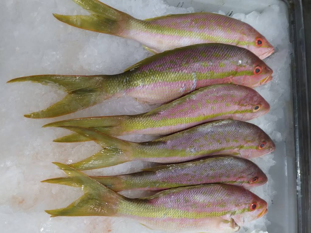 Seafood Market Sarasota | restaurant | 1038 N Washington Blvd, Sarasota, FL 34236, USA | 9415367153 OR +1 941-536-7153