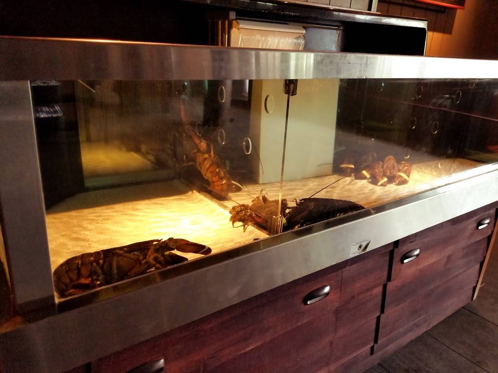 Red Lobster | restaurant | 250 Brea Mall Way, Brea, CA 92821, USA | 7145290632 OR +1 714-529-0632