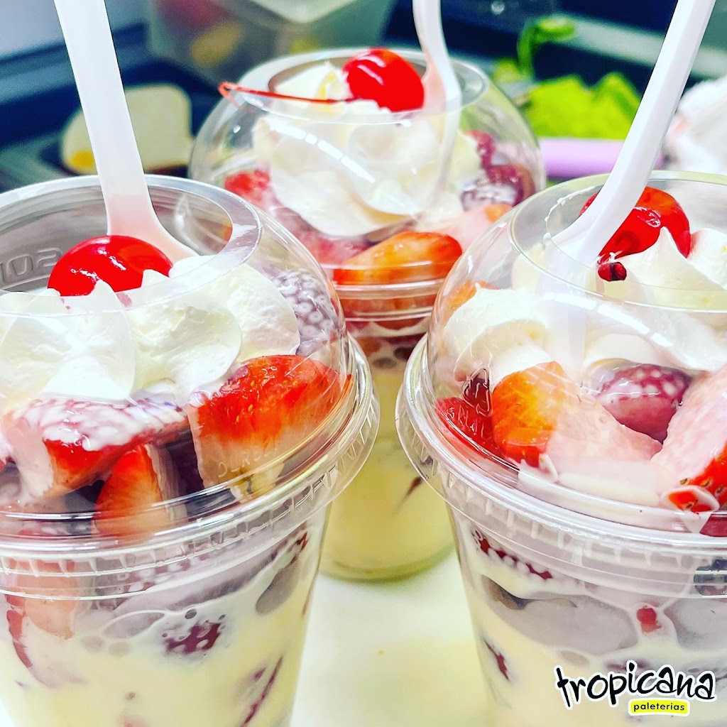 Paleterías Tropicana | restaurant | 830 Southwest Blvd, Kansas City, MO 64108, USA | 8162210192 OR +1 816-221-0192