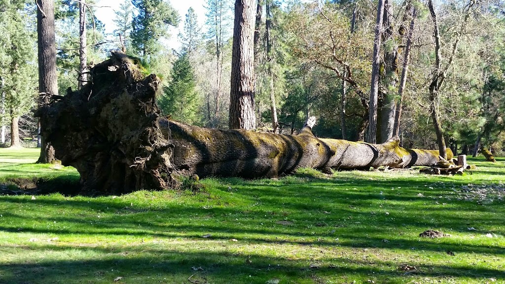 Laurel Hill Golf Course | restaurant | 9450 Old Stage Rd, Central Point, OR 97502, USA | 5418557965 OR +1 541-855-7965