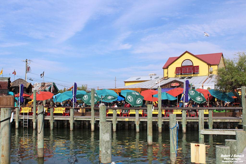 Fish Tales Bar & Grill | restaurant | 2107 Herring Way, Ocean City, MD 21842, USA | 4102890990 OR +1 410-289-0990