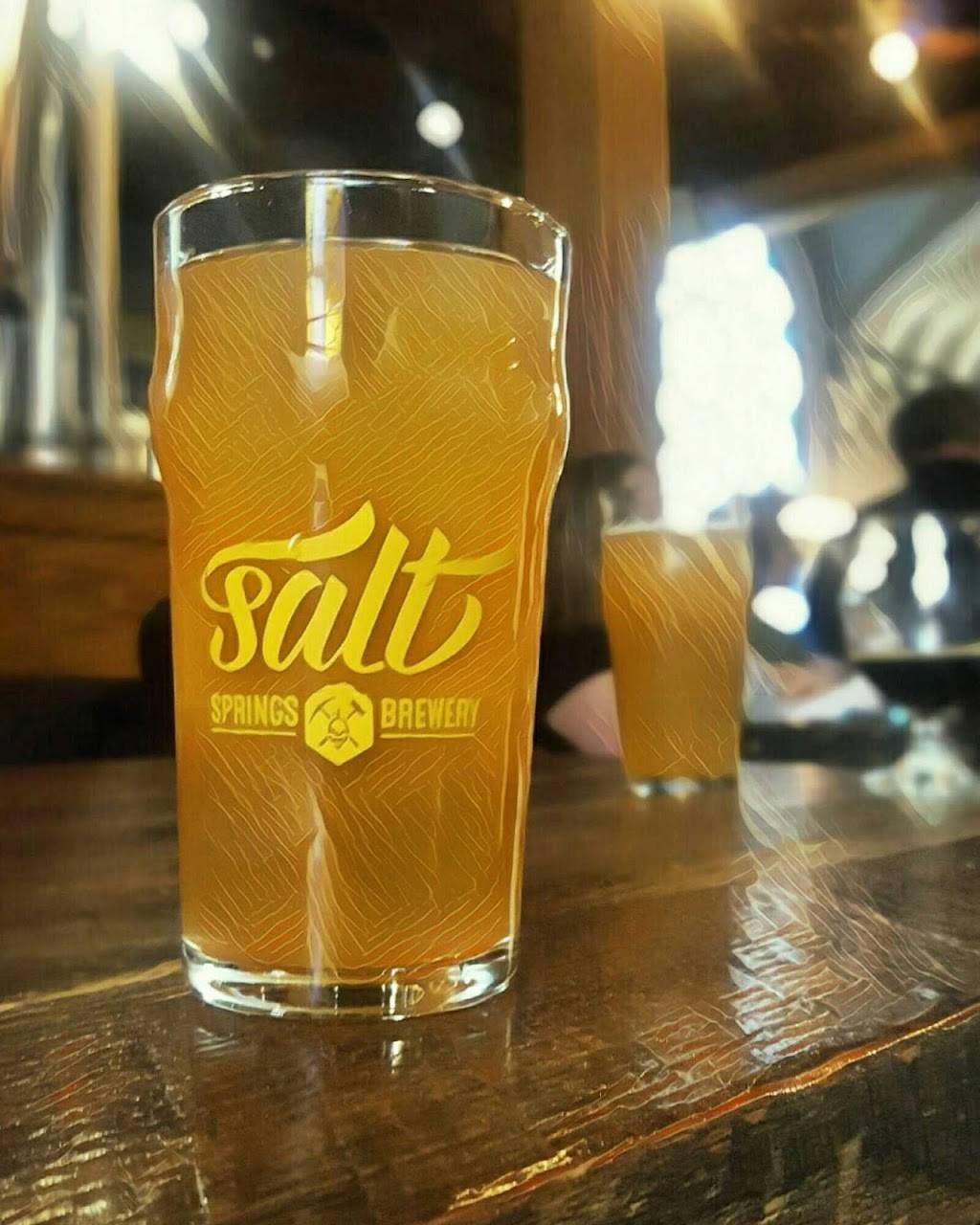 Salt Springs Brewery | restaurant | 117 S Ann Arbor St, Saline, MI 48176, USA | 7342959191 OR +1 734-295-9191