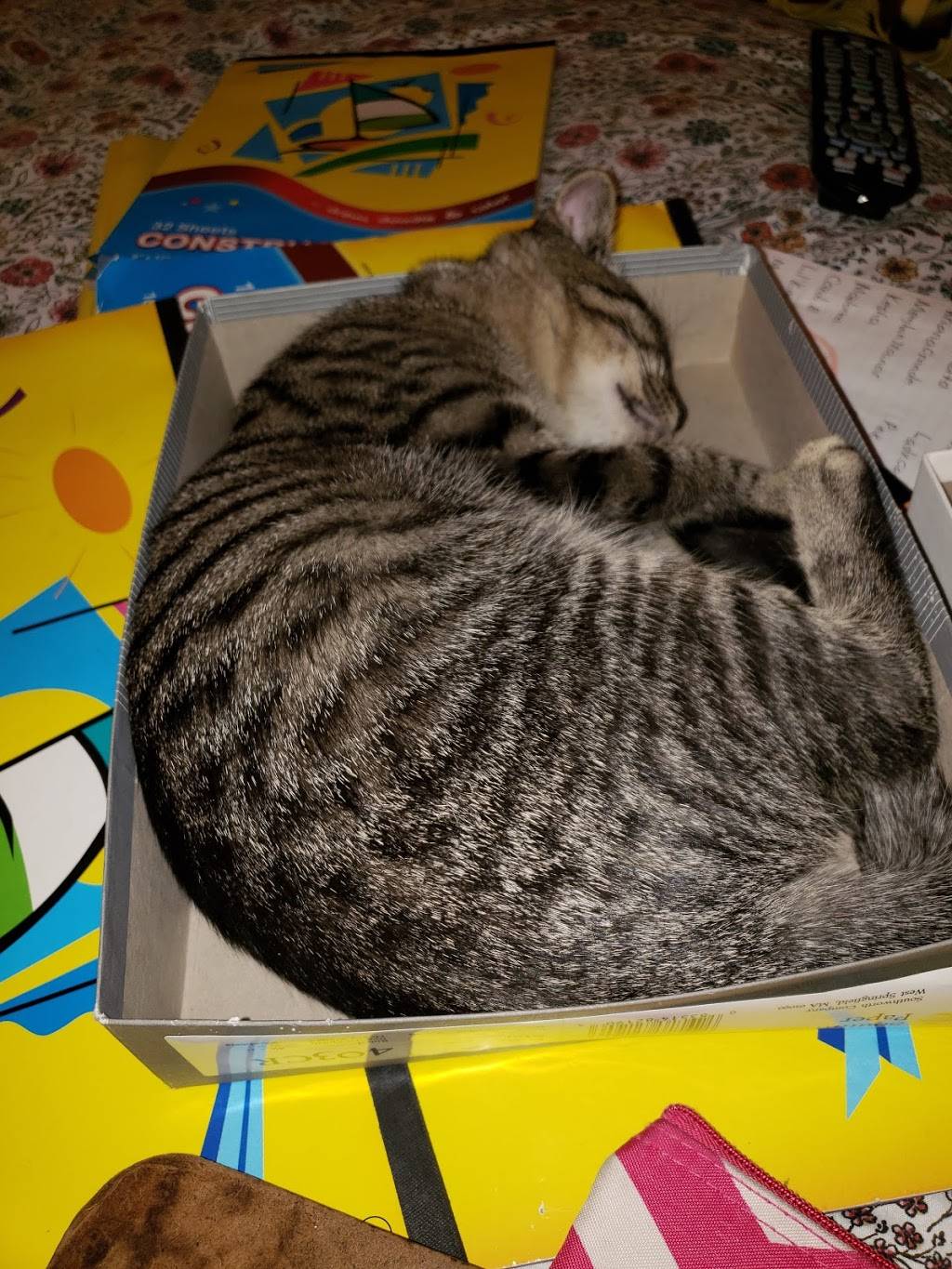 Popeyes Louisiana Kitchen | restaurant | 9623 57th Ave, Corona, NY 11368, USA | 7185925700 OR +1 718-592-5700