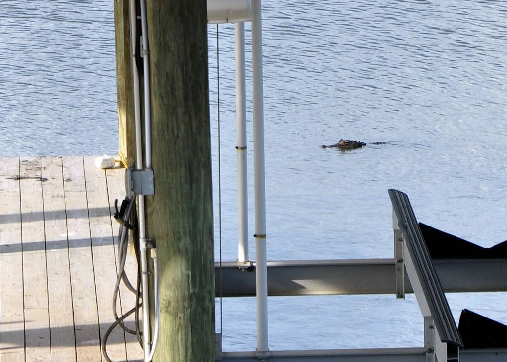 Coco Marina Inc | restaurant | 106 Pier 56 Ct, Chauvin, LA 70344, USA | 9855946626 OR +1 985-594-6626