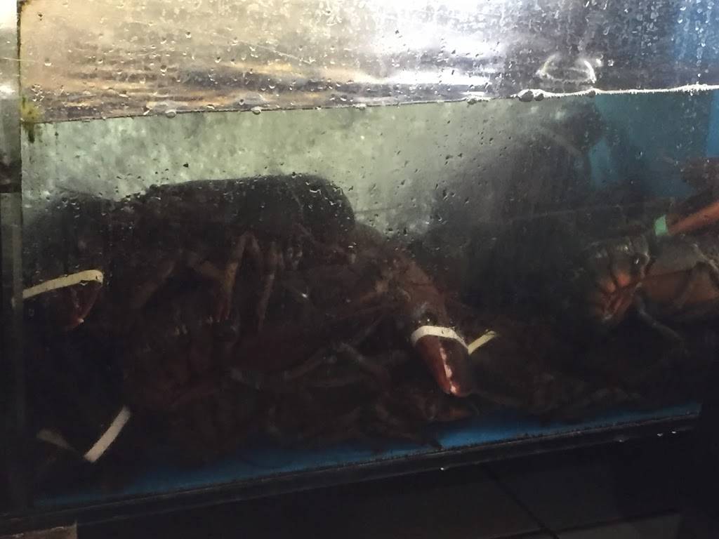 New Fulin Kwok | restaurant | 4619 8th Ave, Brooklyn, NY 11220, USA | 7188538883 OR +1 718-853-8883