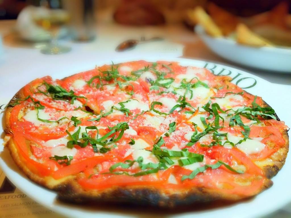 BRIO | restaurant | 2223 N Westshore Blvd, Tampa, FL 33607, USA | 8138773939 OR +1 813-877-3939