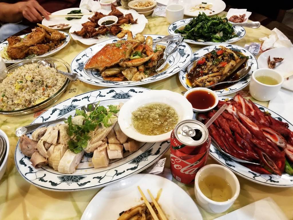 Dragon City | meal takeaway | 6706 Stirling Rd, Hollywood, FL 33024, USA | 9548948393 OR +1 954-894-8393