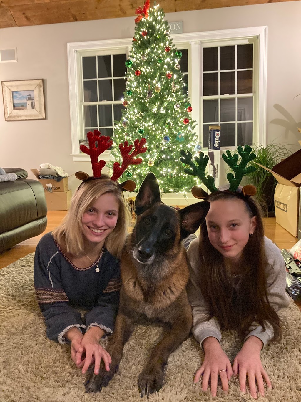 Lobster Safari | restaurant | 6 Kestrel Cir, York, ME 03909, USA | 2074503911 OR +1 207-450-3911