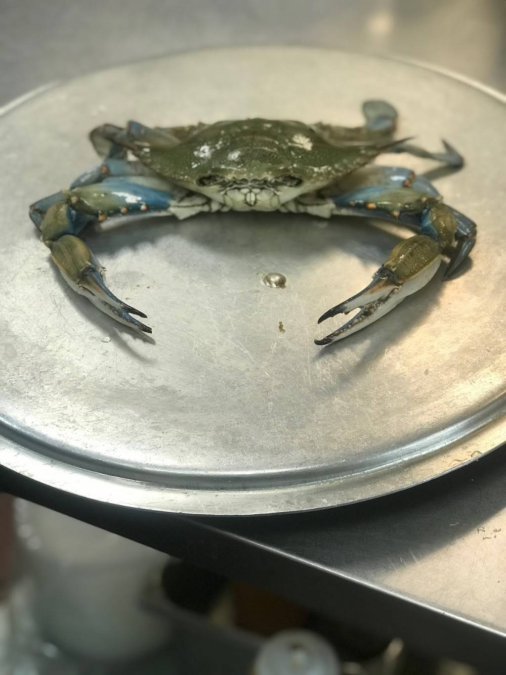 Soul Of The Sea | restaurant | Food Court, 880 N Military Hwy, Norfolk, VA 23502, USA | 7578374313 OR +1 757-837-4313