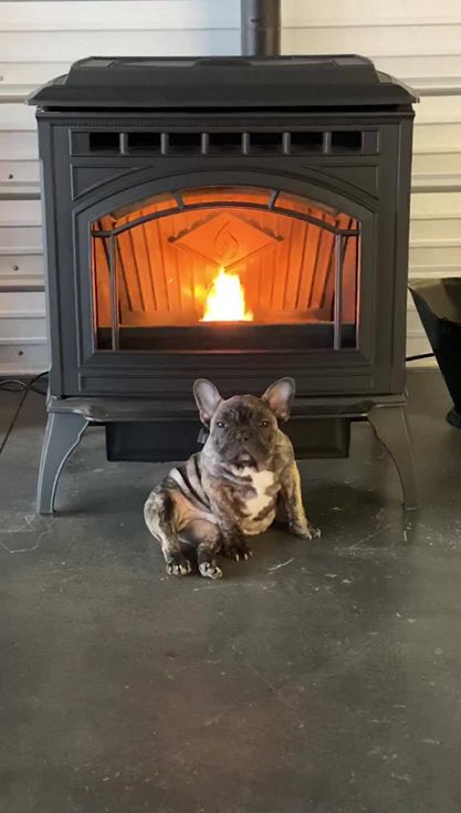 Miami Fireplace and Stoves, LLC | restaurant | 59100 E 100 Rd, Miami, OK 74354, USA | 9189618764 OR +1 918-961-8764