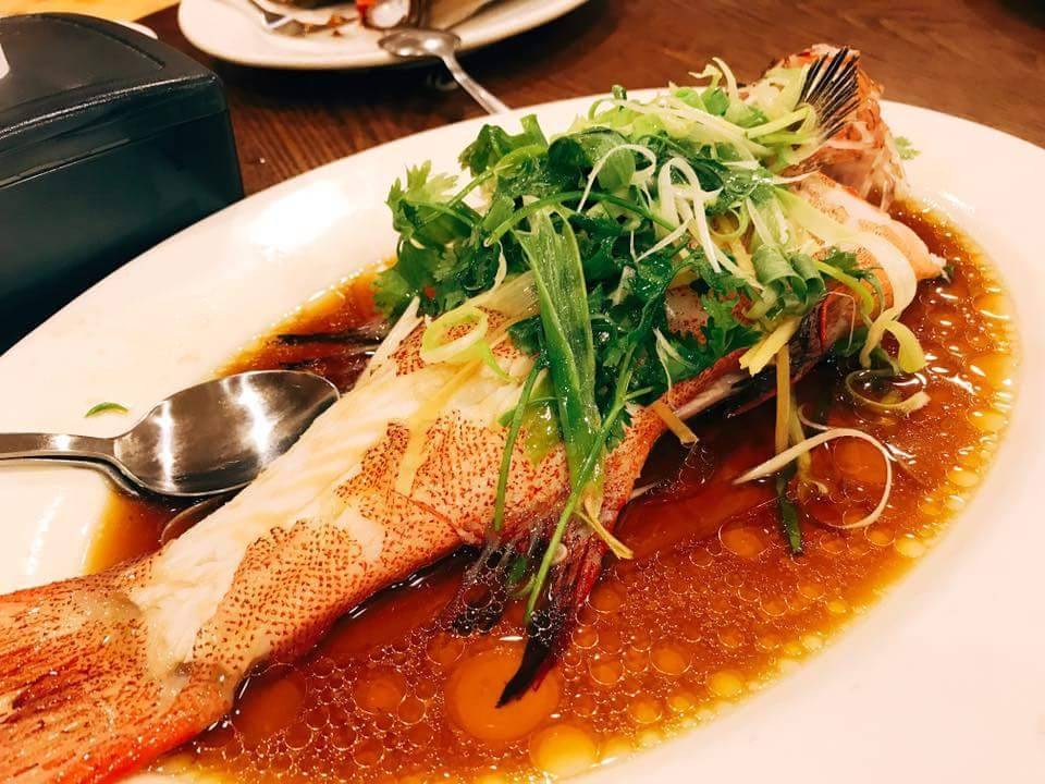 Peking Garden Restaurant | meal delivery | 206 N Randolph St, Champaign, IL 61820, USA | 2173558888 OR +1 217-355-8888