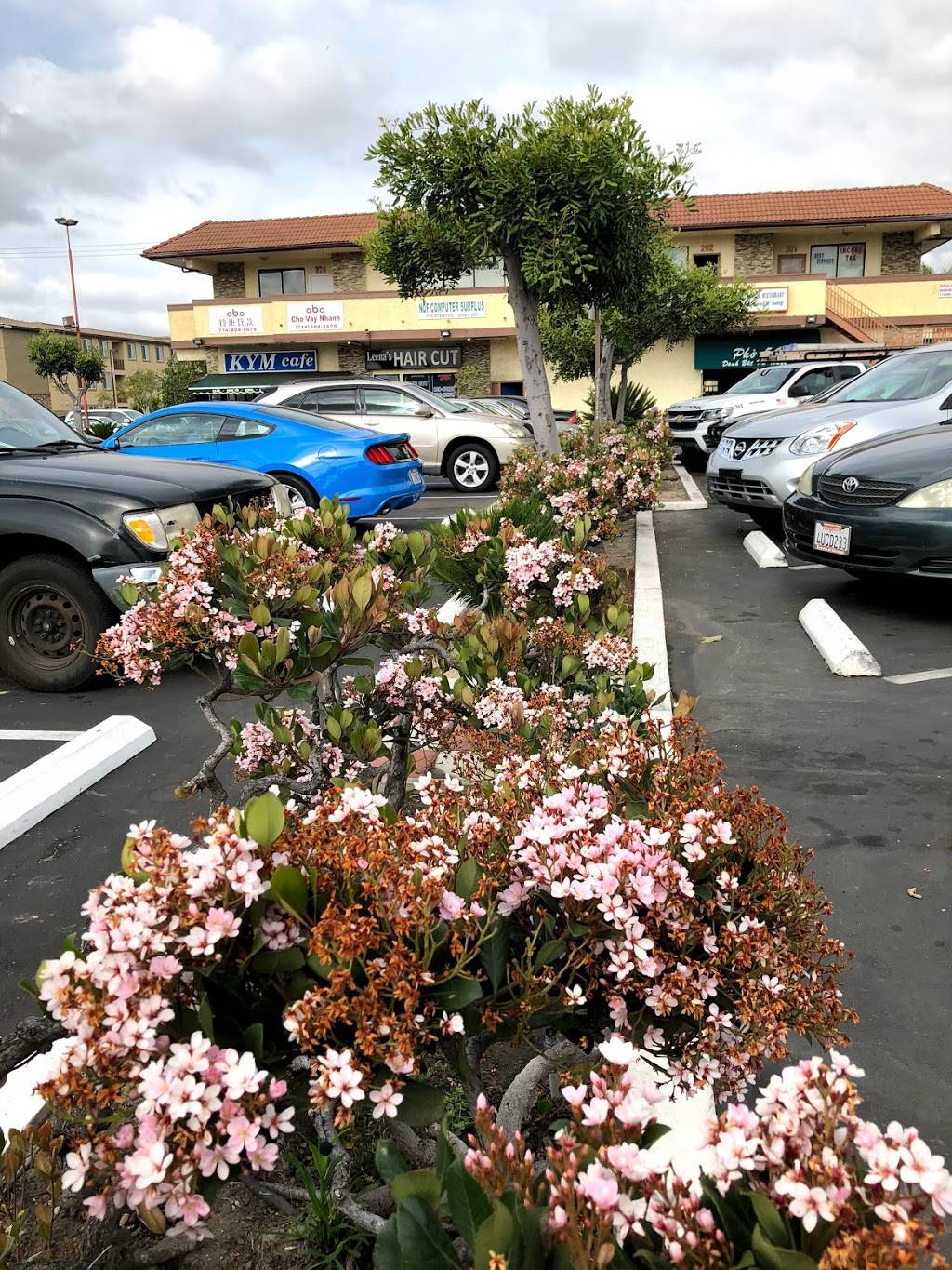 Pho 54 | restaurant | 8932 Bolsa Ave, Westminster, CA 92683, USA | 7148922623 OR +1 714-892-2623