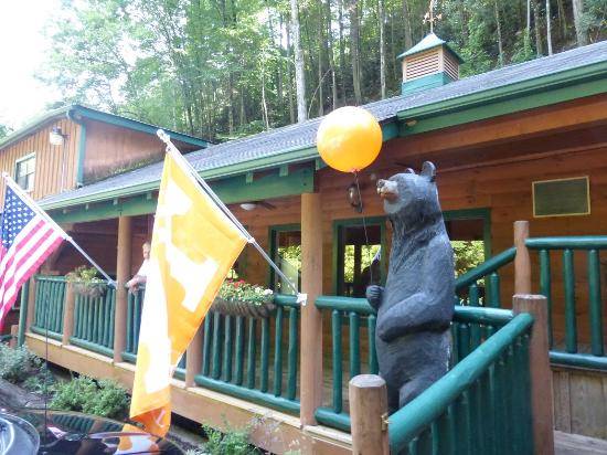 Ski Mountain Pizza | meal delivery | 631 Ski Mountain Rd, Gatlinburg, TN 37738, USA | 8653251512 OR +1 865-325-1512