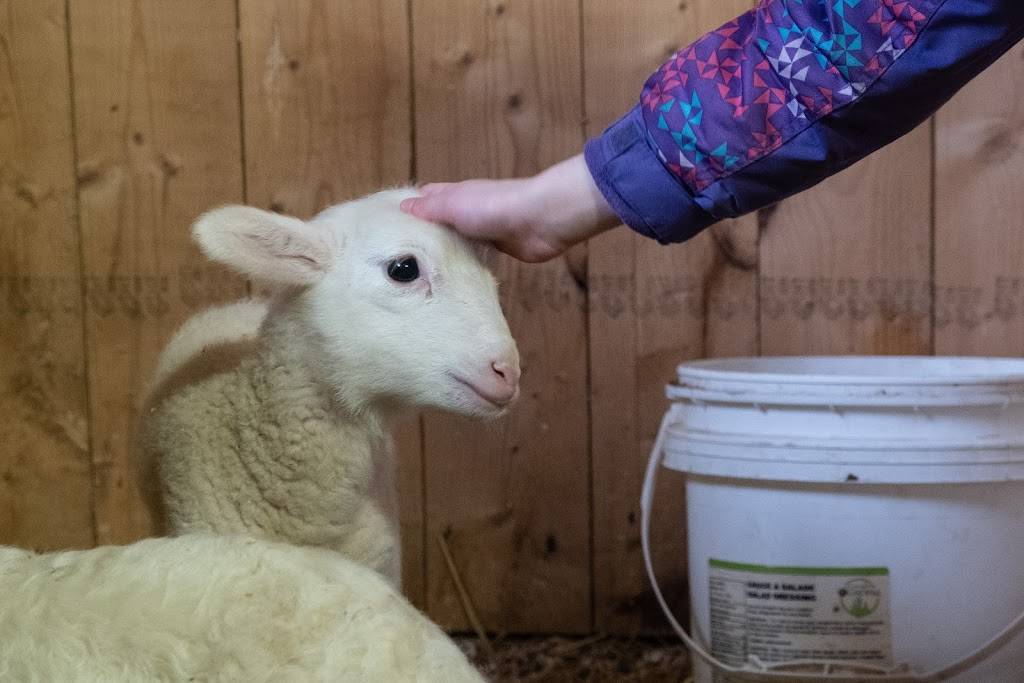 LÉrable Rouge | restaurant | 3324 QC-161, Saint-Valère, QC G0P 1M0, Canada | 8193531616 OR +1 819-353-1616