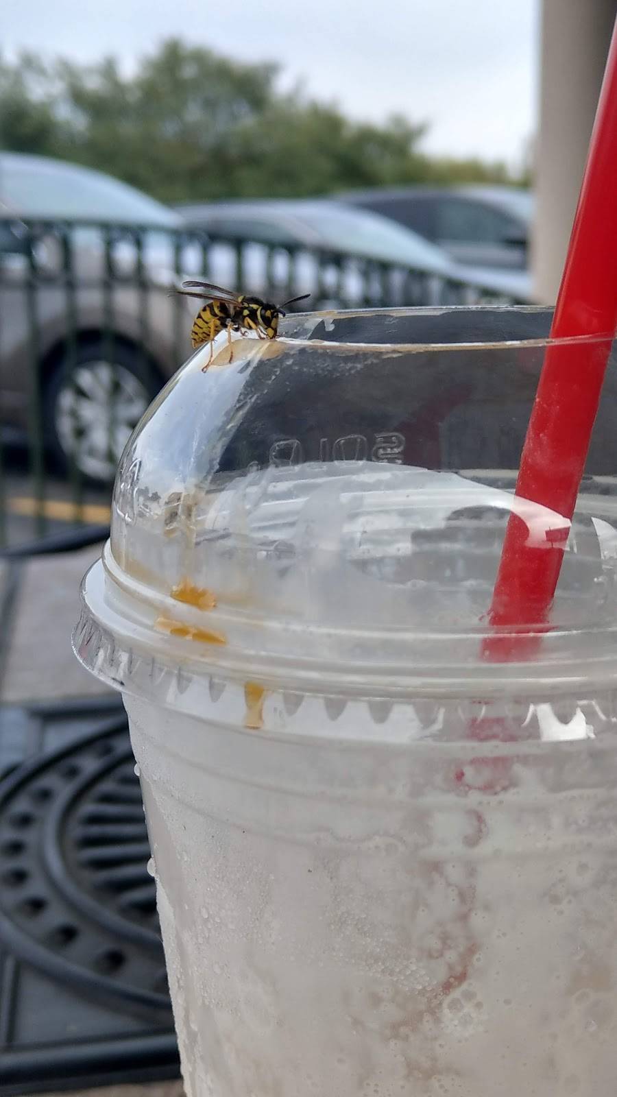 Peaberrys Cafe & Bakery | cafe | 4350 Boardman-Canfield Rd, Canfield, OH 44406, USA | 3307029230 OR +1 330-702-9230