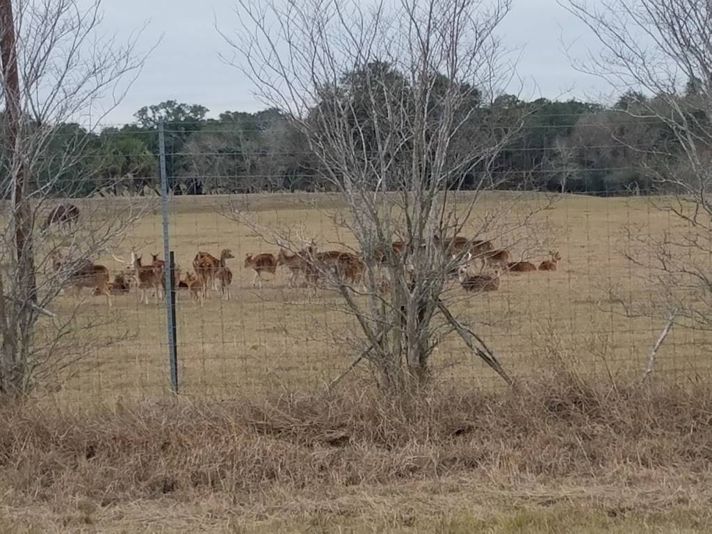 Pilsners Cafe | restaurant | 5622 Interstate 10 Frontage Rd, Alleyton, TX 78935, USA | 9797325445 OR +1 979-732-5445