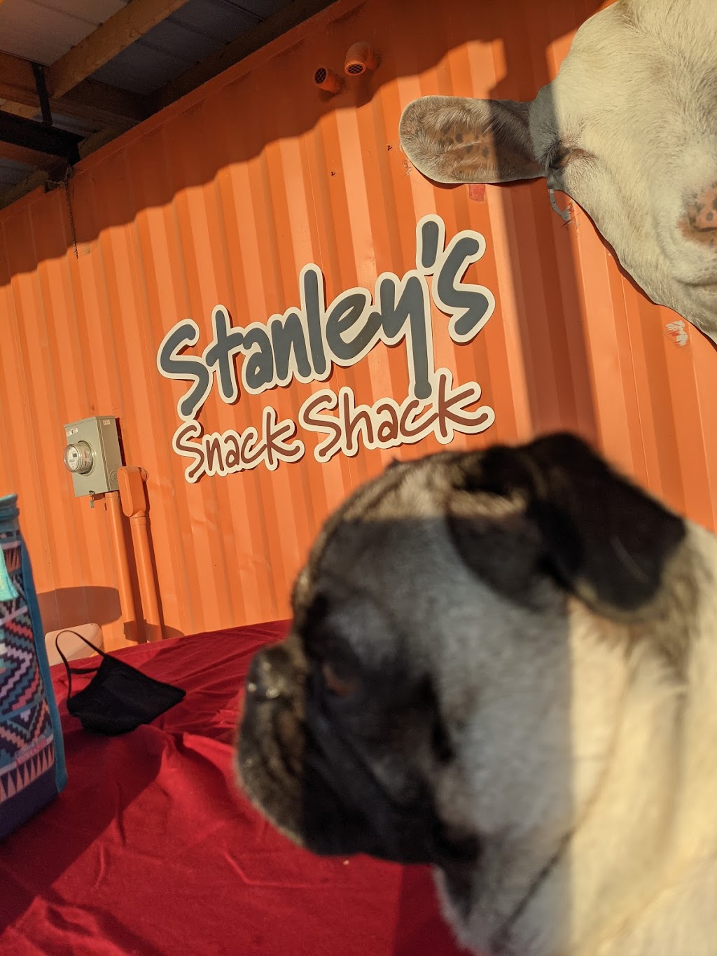 Stanleys Snack Shack | restaurant | 18057 Mahogany Rd, Honey Creek, IA 51542, USA | 4026900178 OR +1 402-690-0178
