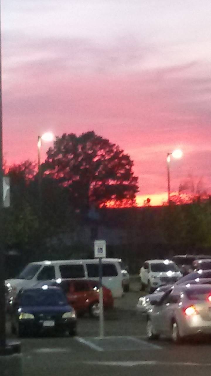 Subway Restaurants | restaurant | 1650 Richmond Ave, Staten Island, NY 10314, USA | 7184775559 OR +1 718-477-5559