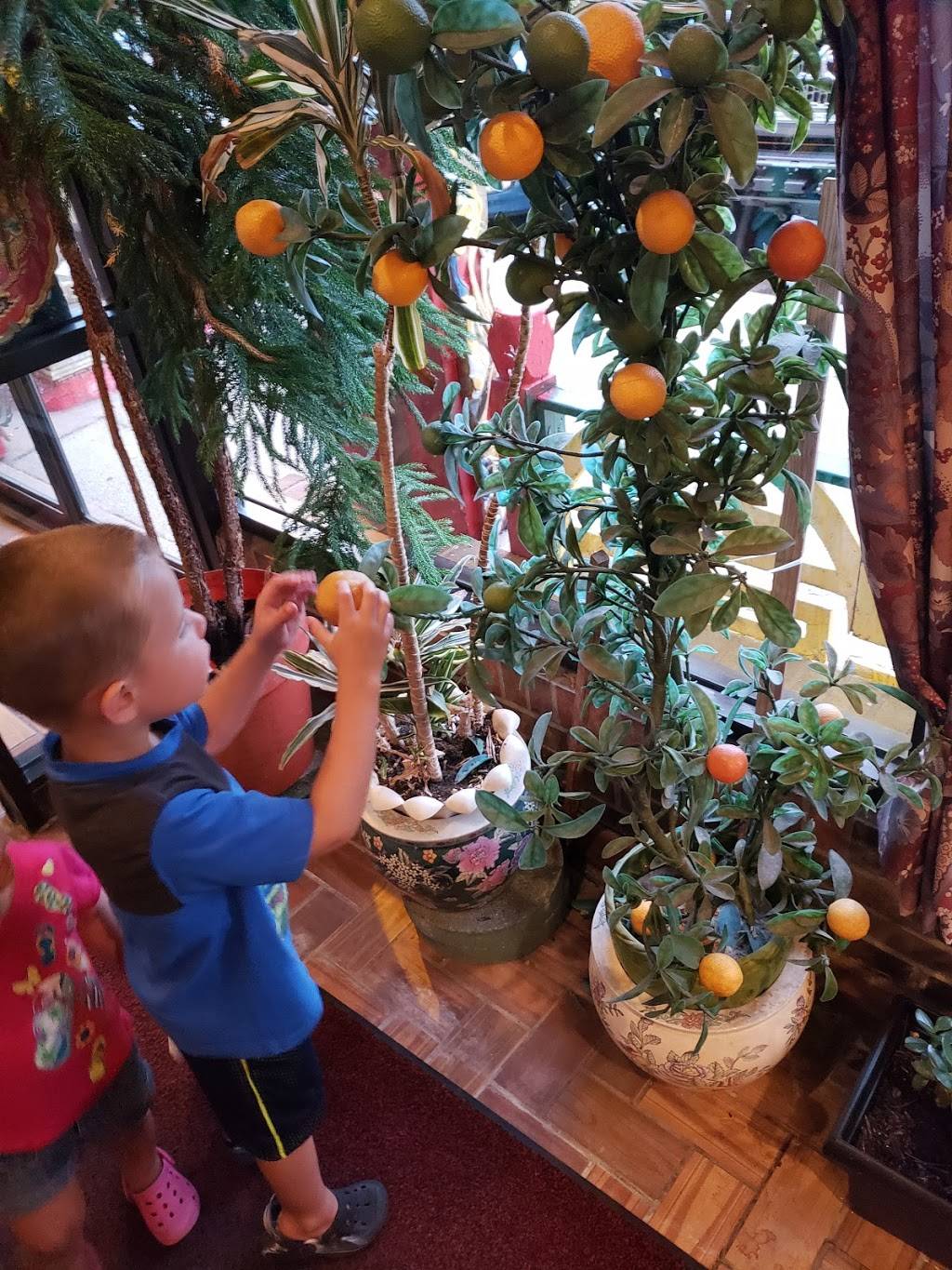 China King | restaurant | 1120 Pearl Rd, Brunswick, OH 44212, USA | 3302257911 OR +1 330-225-7911