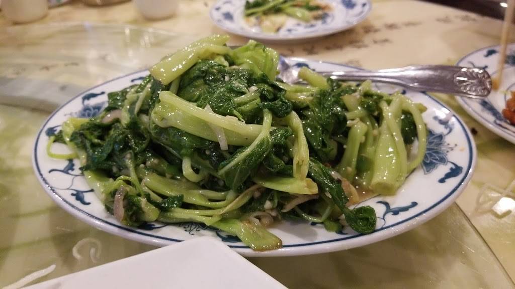 Dragon City | meal takeaway | 6706 Stirling Rd, Hollywood, FL 33024, USA | 9548948393 OR +1 954-894-8393