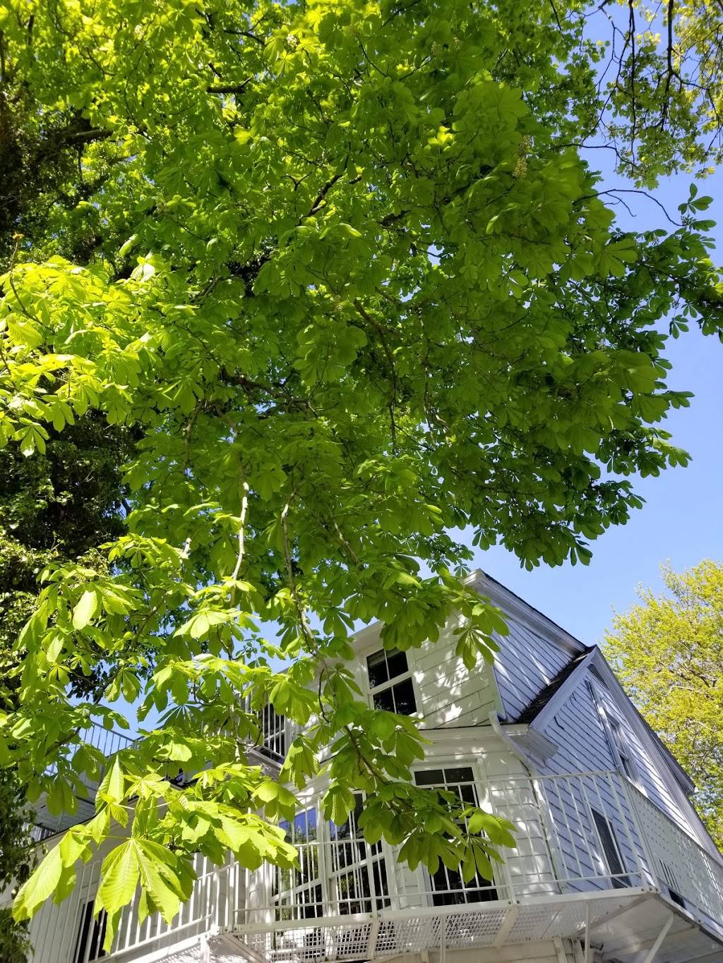 The Maidstone | restaurant | 207 Main St, East Hampton, NY 11937, USA | 6313245006 OR +1 631-324-5006