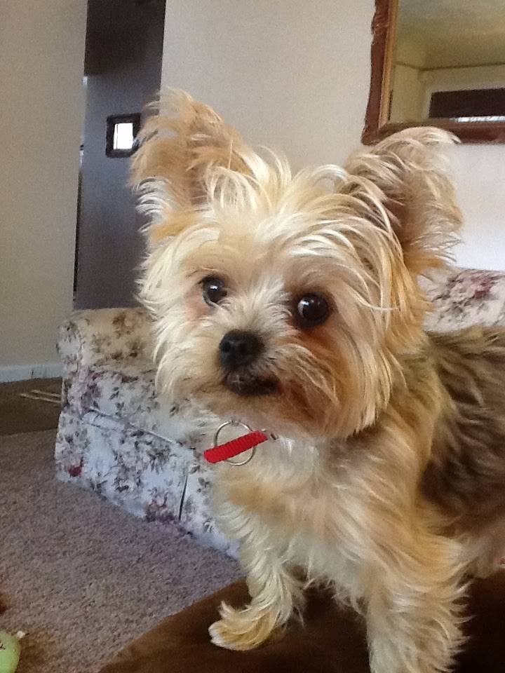 Jim & Jacks On The River | night club | 3456 River Rd, Cincinnati, OH 45204, USA | 5132517977 OR +1 513-251-7977