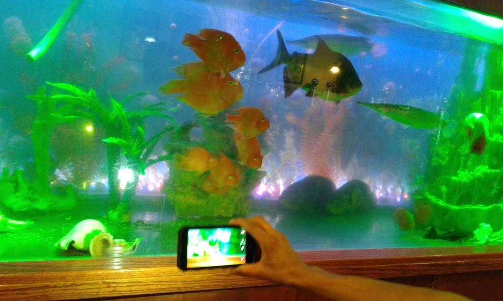 New Bo Bo Chinese Restaurant | restaurant | 910 Brookway Blvd, Brookhaven, MS 39601, USA | 6018353355 OR +1 601-835-3355