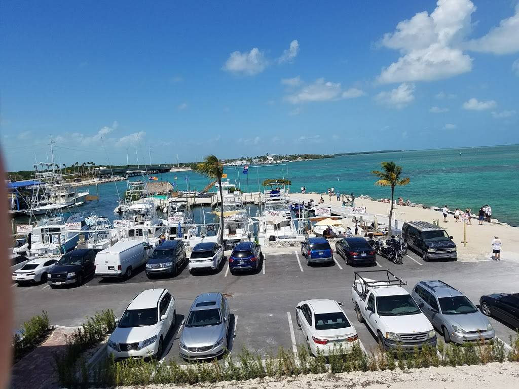 Whale Harbor Marina | restaurant | 83413 Overseas Hwy, Islamorada, FL 33036, USA | 3056644511 OR +1 305-664-4511