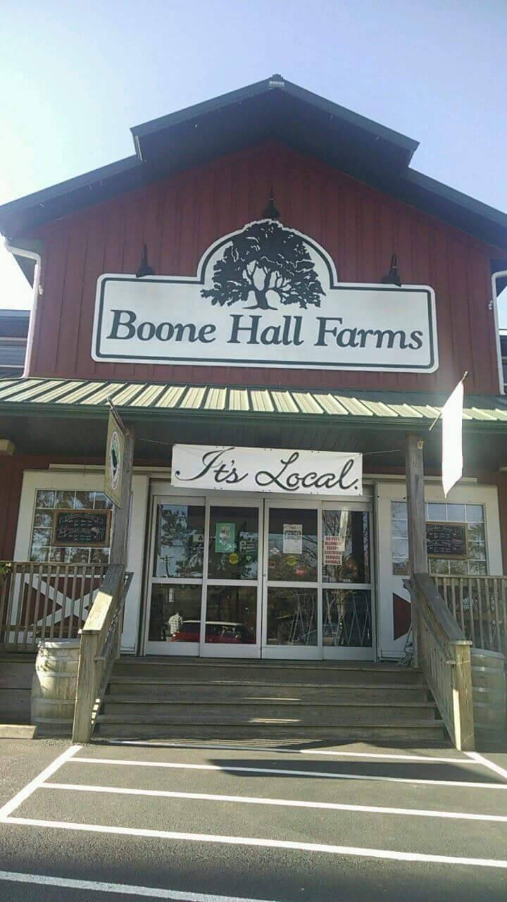 Boone Hall Farms Market | restaurant | 2521 N Hwy 17, Mt Pleasant, SC 29466, USA | 8438568154 OR +1 843-856-8154