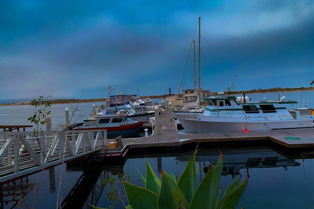 Lil Hut | restaurant | 1205 Embarcadero, Morro Bay, CA 93442, USA | 8057723488 OR +1 805-772-3488