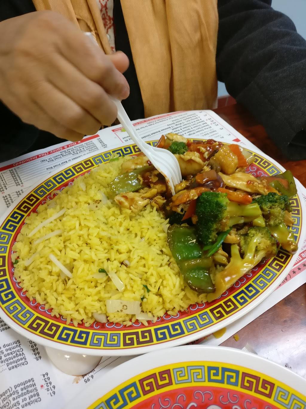 AISHAHS CHINESE HALAL RESTAURANT | restaurant | 1042 Bergen St, Newark, NJ 07112, USA | 9739235155 OR +1 973-923-5155
