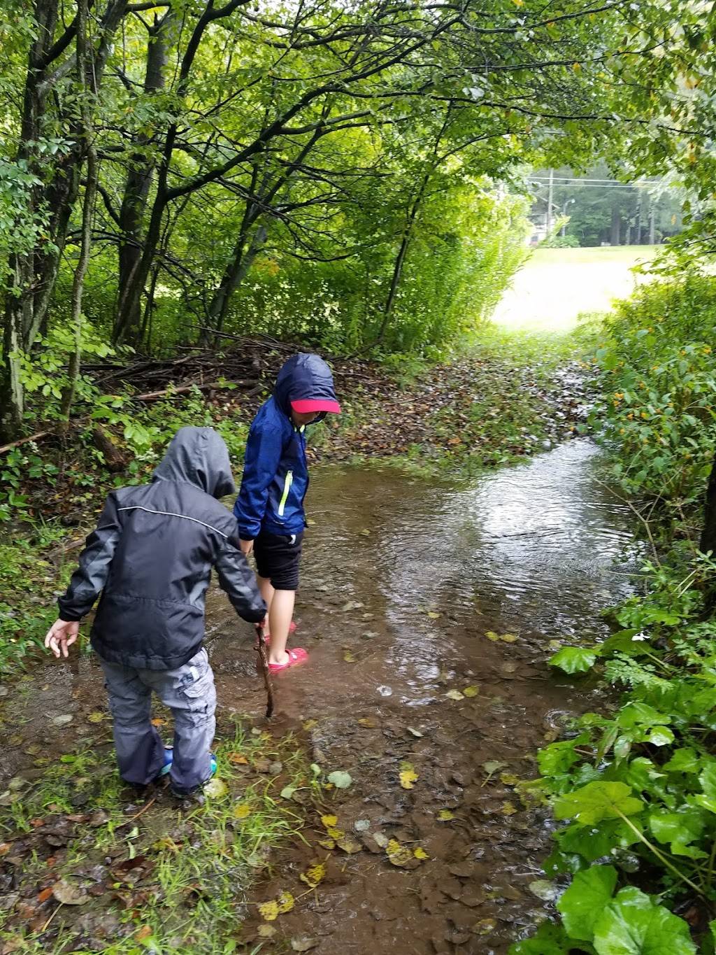 Slide Mountain Forest House | restaurant | 805 Oliverea Rd, Big Indian, NY 12410, USA | 8452545365 OR +1 845-254-5365