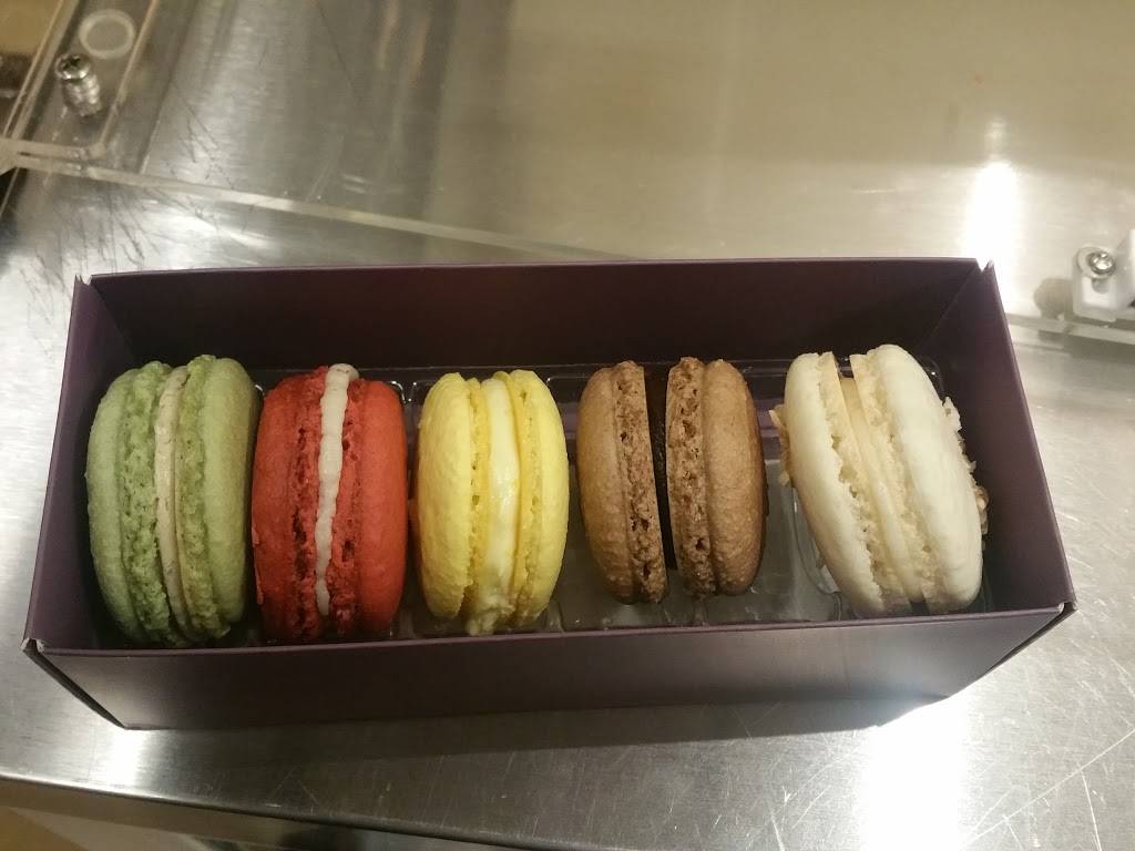 Chatime | night club | 1800 E Fort Lowell Rd #140, Tucson, AZ 85719, USA | 5204772622 OR +1 520-477-2622