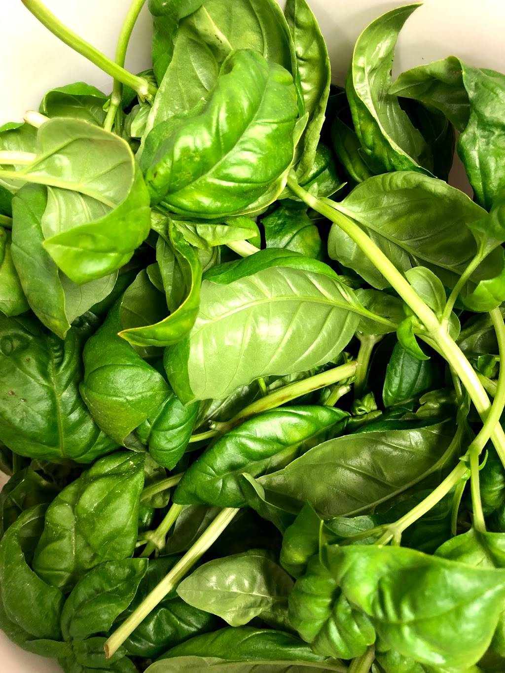 Solo NY Pizza | meal takeaway | 700 Fieldstone Dr NE, Leesburg, VA 20176, USA | 5715103909 OR +1 571-510-3909