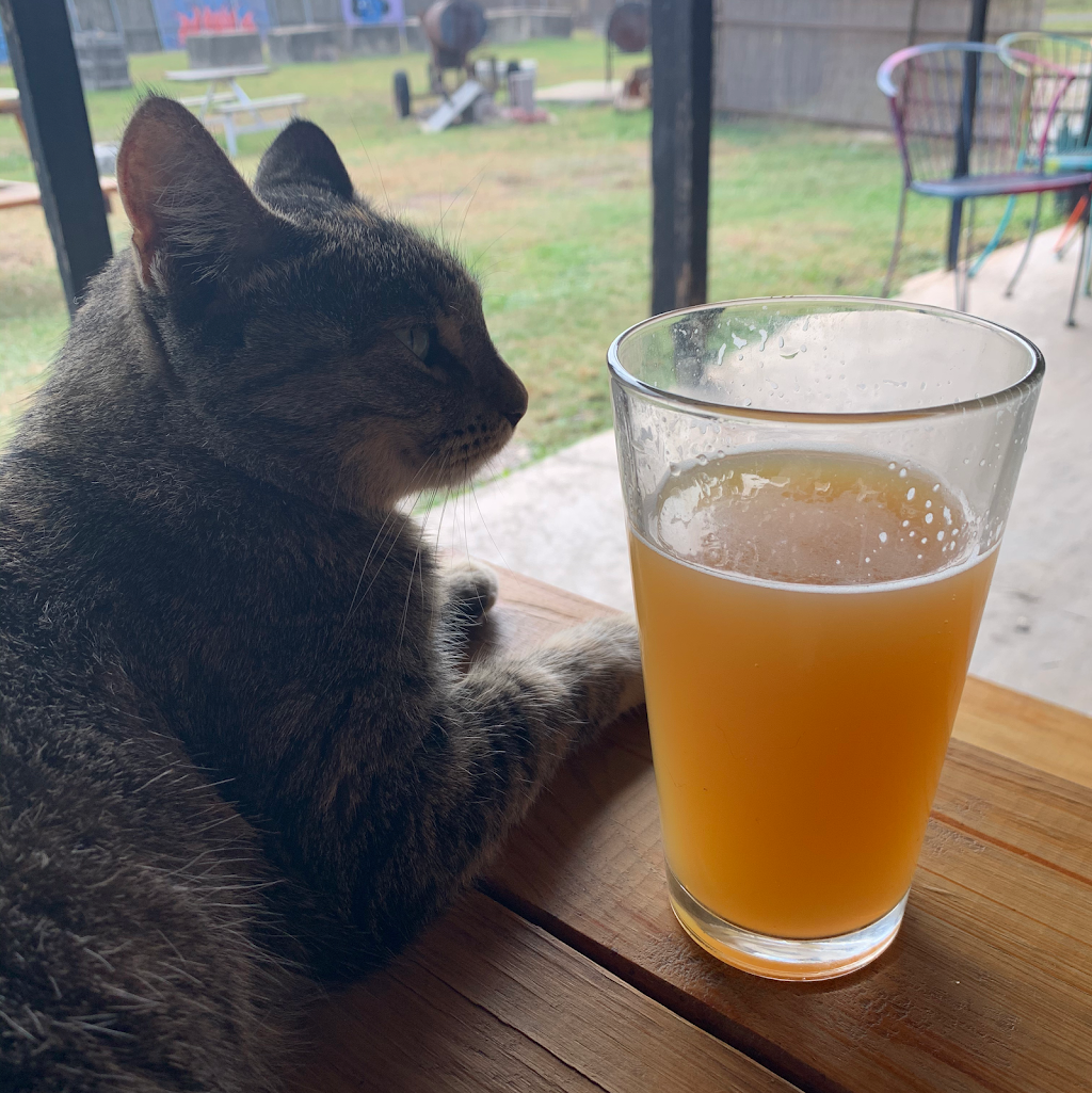 The Waterhole Saloon | restaurant | 5244 TX-71, Del Valle, TX 78617, USA | 5122475119 OR +1 512-247-5119