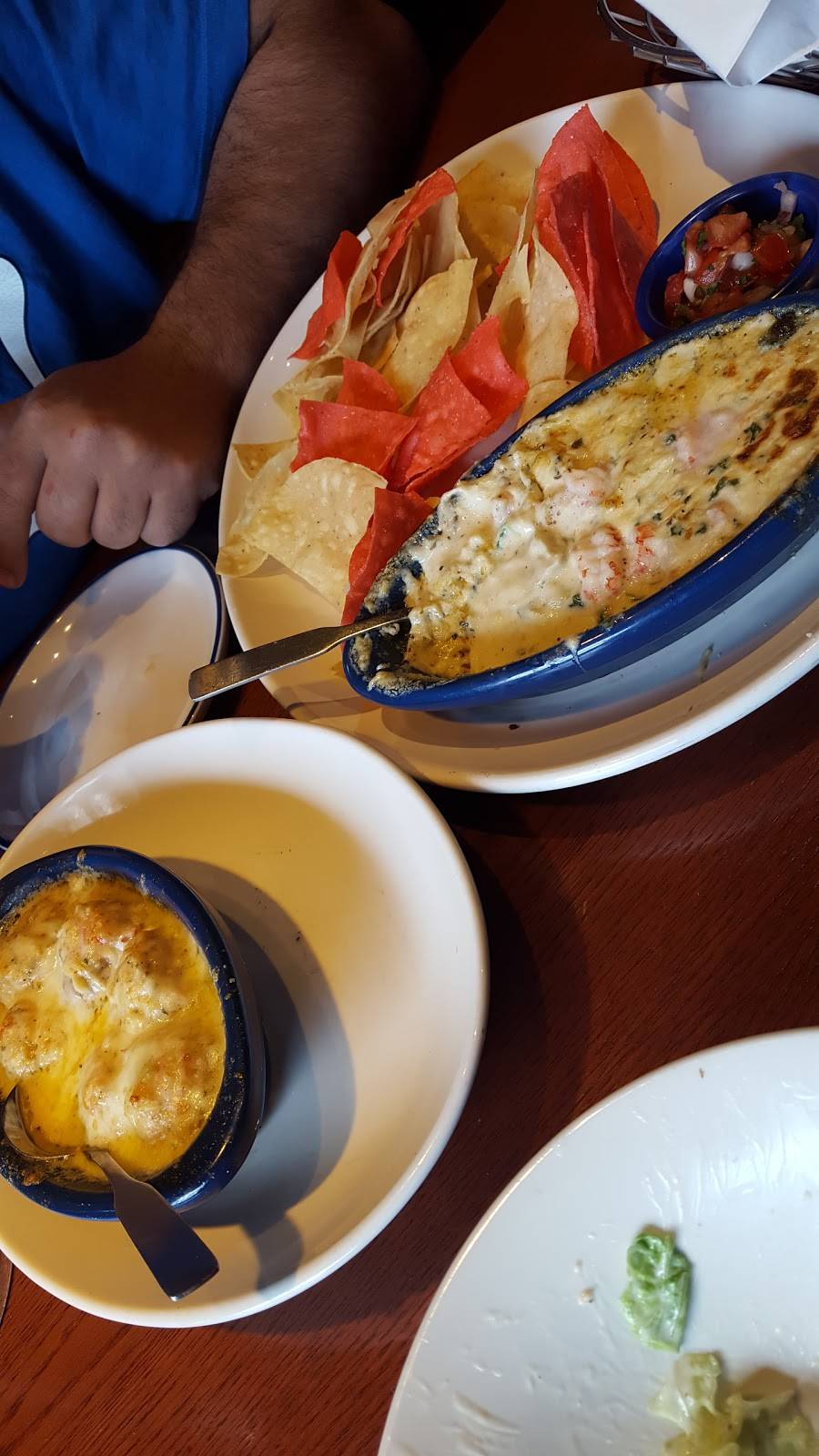 Red Lobster | restaurant | 223 Shoemaker Rd, Pottstown, PA 19464, USA | 6103230415 OR +1 610-323-0415