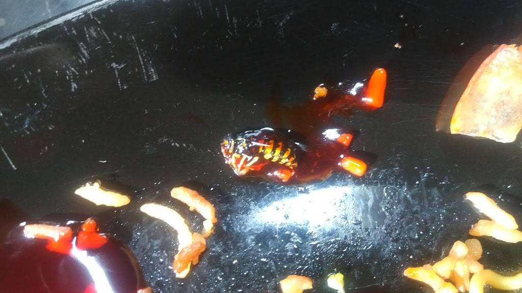 Thames Garden menu | restaurant | 99 Thames St N, Ingersoll, ON N5C 3C6, Canada | 5194250708 OR +1 519-425-0708