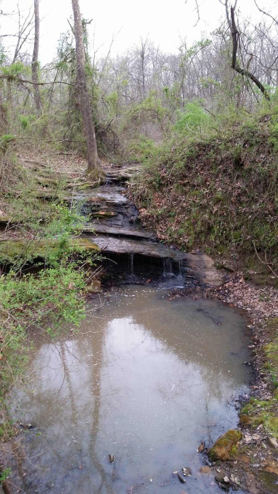 Traditions Restaurant | restaurant | 5 Par Dr, Warrensburg, MO 64093, USA | 6605438694 OR +1 660-543-8694