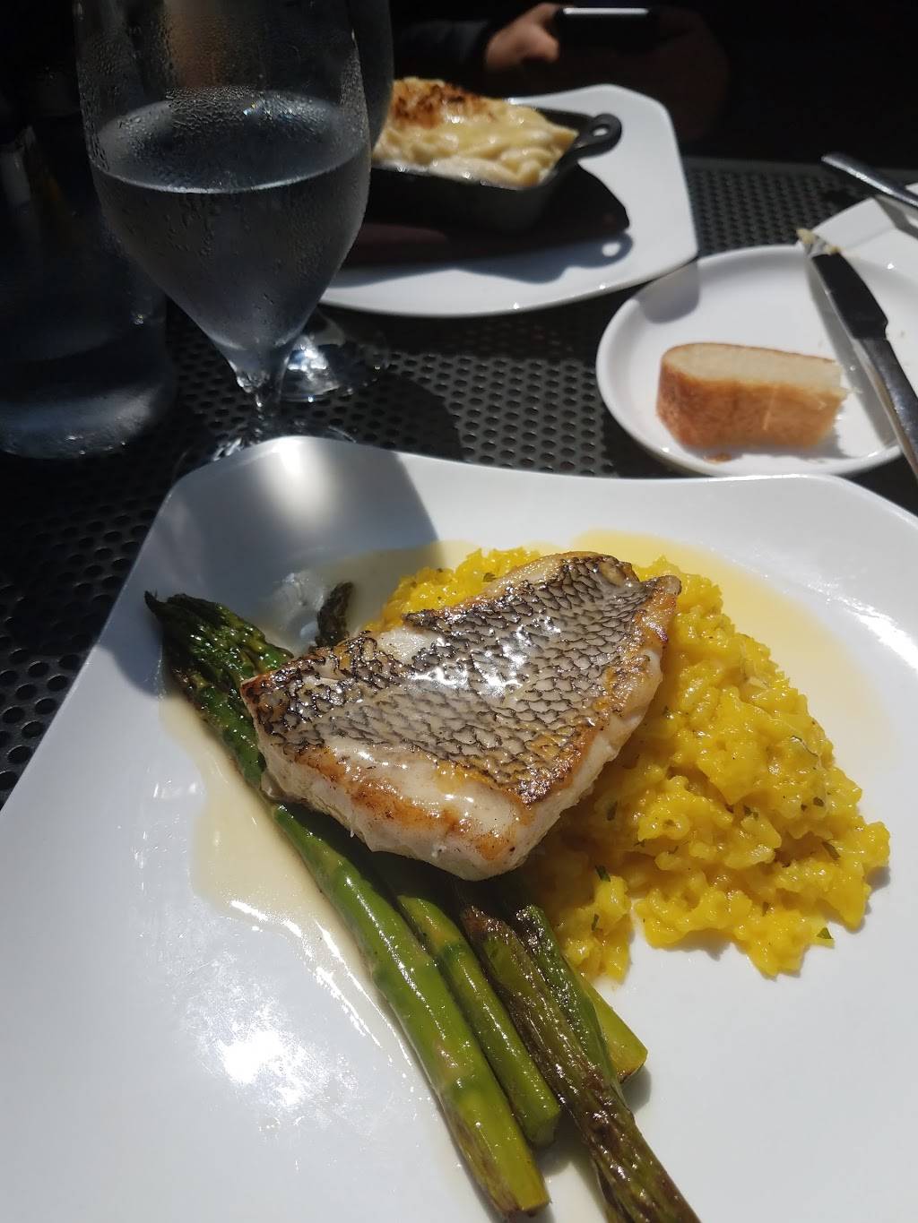 Harvest Wine Bar & Restaurant | restaurant | 1104 Chapel St, New Haven, CT 06510, USA | 2037772500 OR +1 203-777-2500