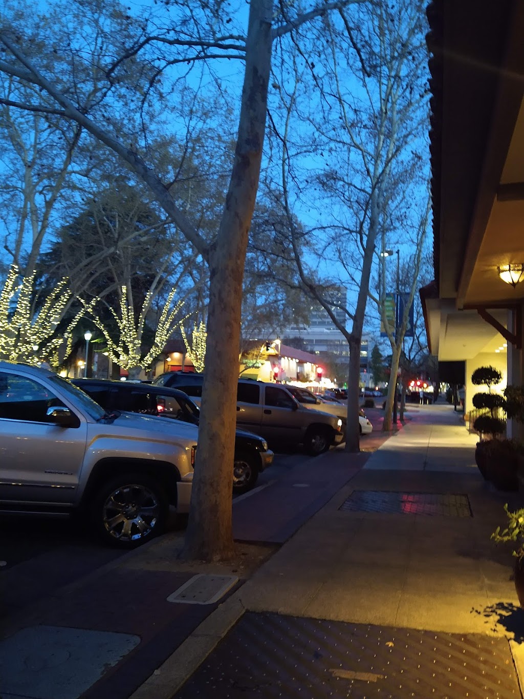 Sourdough and co | restaurant | 1975 Mt Diablo St, Concord, CA 94520, USA | 9253382835 OR +1 925-338-2835