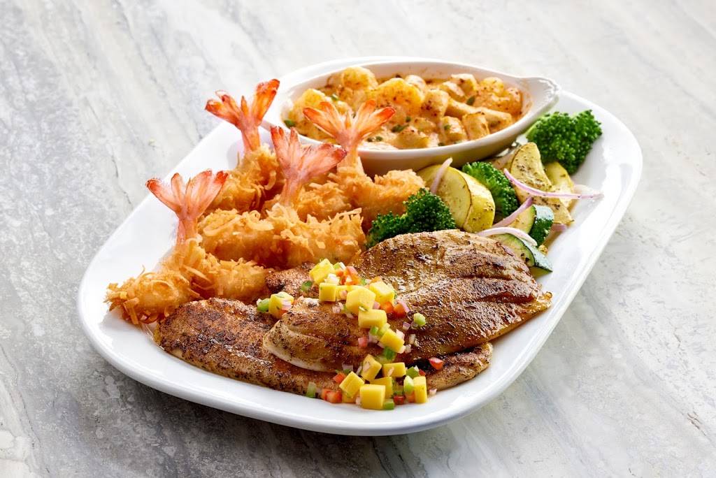 Rainforest Cafe | restaurant | 4810 Mills Cir, Ontario, CA 91764, USA | 9099417979 OR +1 909-941-7979