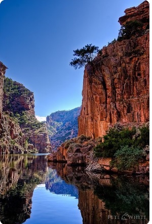 Alcova Resort | restaurant | 24025 Lakeshore Dr, Alcova, WY 82620, USA | 3074726666 OR +1 307-472-6666