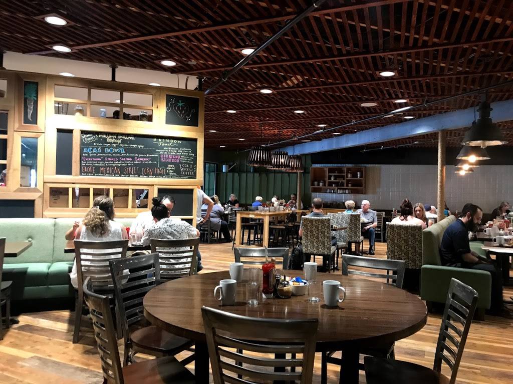 First Watch - Biltmore | restaurant | 3215 E Camelback Rd, Phoenix, AZ 85018, USA | 6029553447 OR +1 602-955-3447